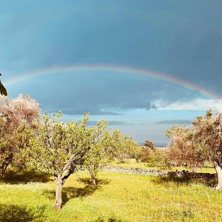 La Perla Di Torre Guaceto Βίλα Serranova Εξωτερικό φωτογραφία